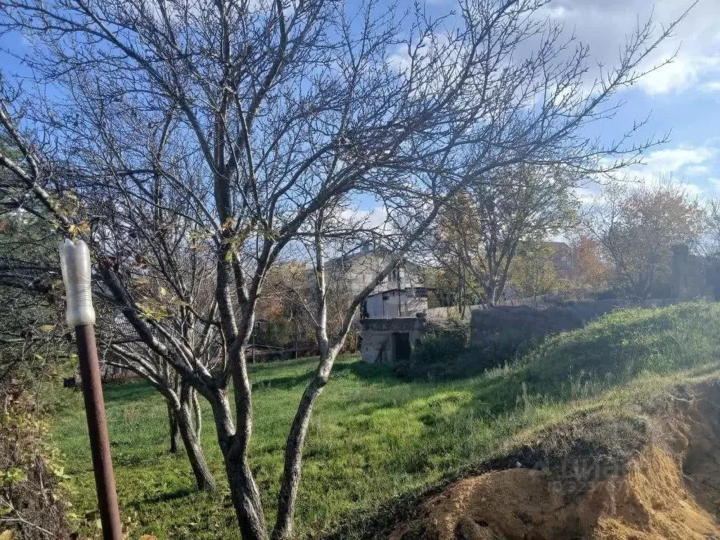 Участок в Крым, Симферопольский район, Перовское с/пос, Ручеек СТ  ... - Фото 2