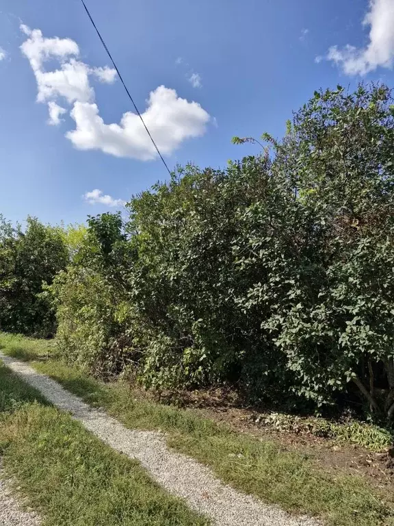 Участок в Самарская область, Самара СМПО Металлист СДТ, ул. Рябиновая ... - Фото 2