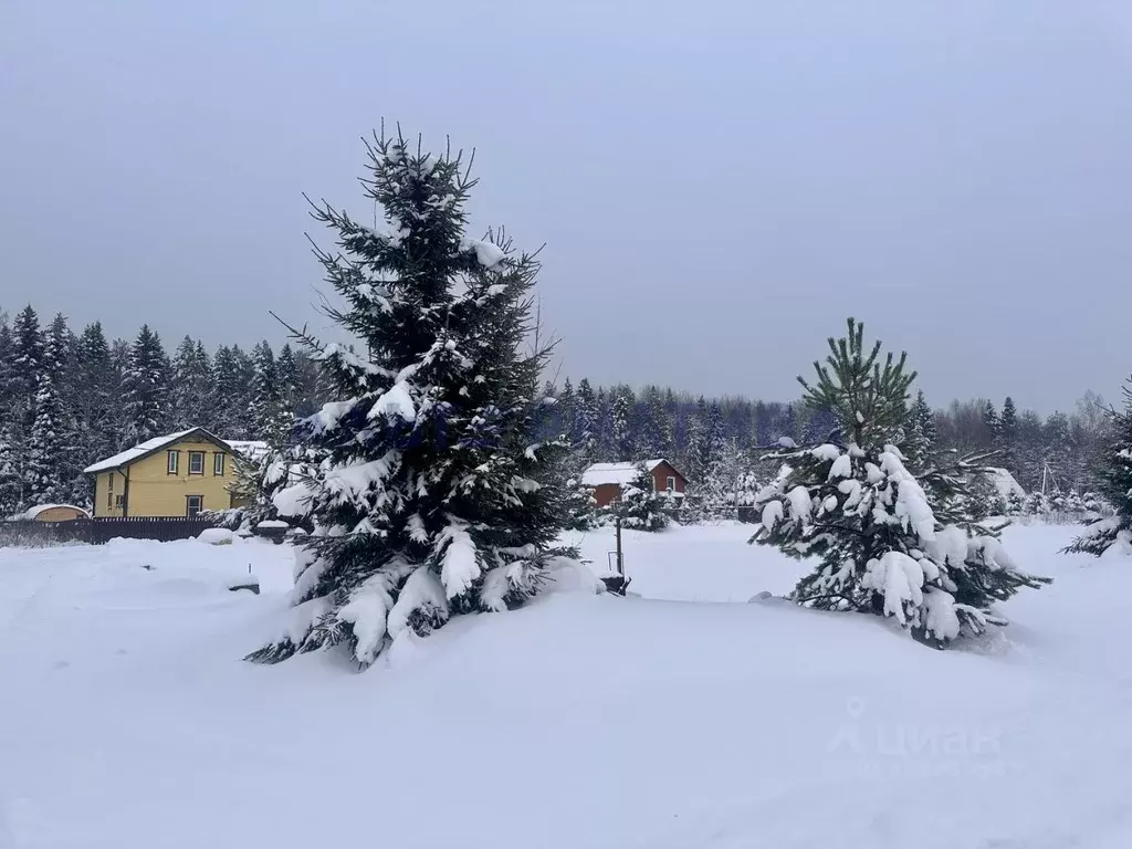 Участок в Ярославская область, Переславль-Залесский муниципальный ... - Фото 2