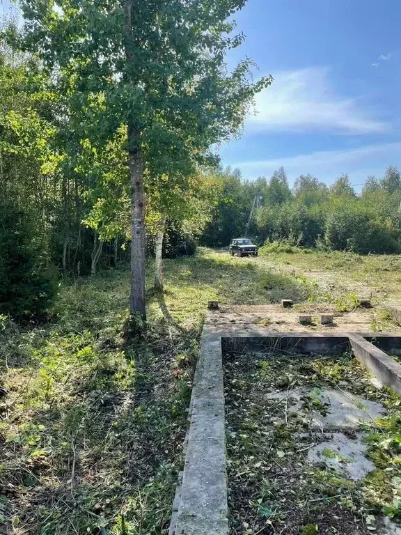 Участок в Ленинградская область, Волховский район, Потанинское с/пос, ... - Фото 1