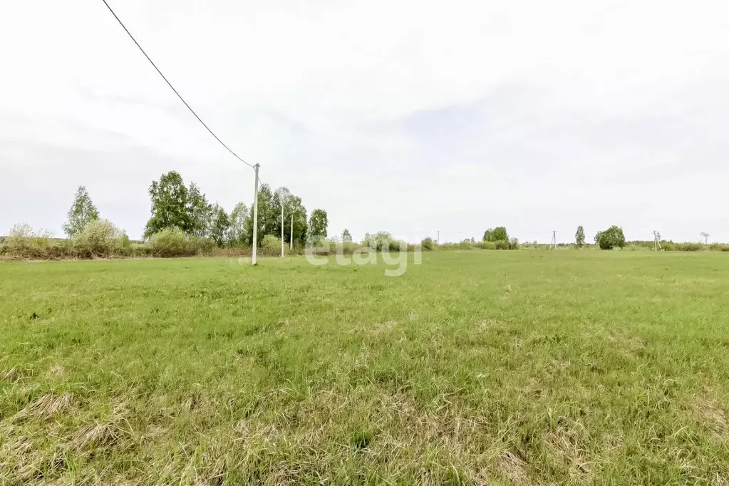 Участок в Тюменская область, Нижнетавдинский муниципальный округ, с. ... - Фото 1