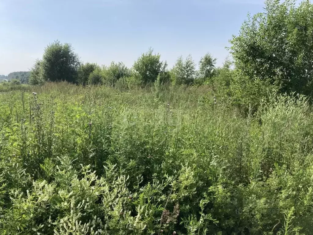 Участок в Костромская область, Кострома Юбилейный СНТ, 362 (10.0 сот.) - Фото 1