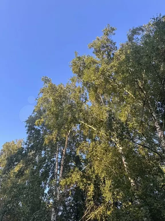 Участок 15 сот. (СНТ, ДНП) - Фото 1