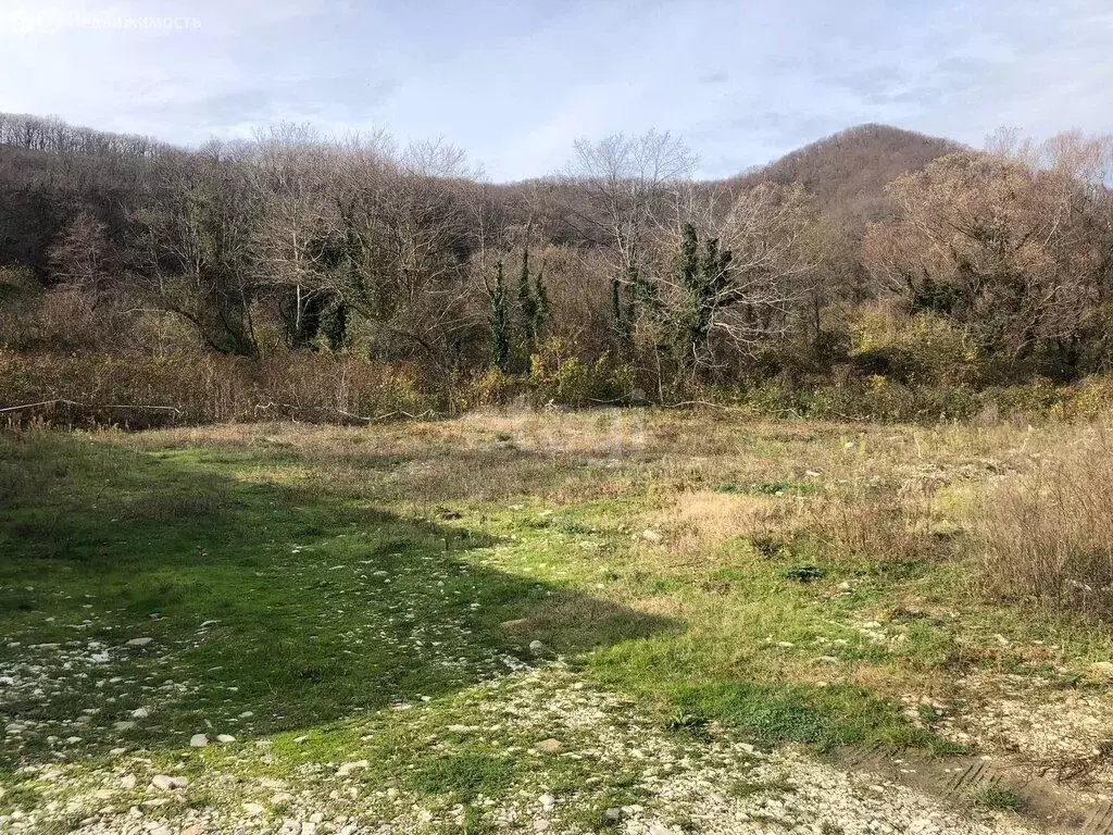 Участок в село Ольгинка, микрорайон Незабудка-2 (6 м) - Фото 1