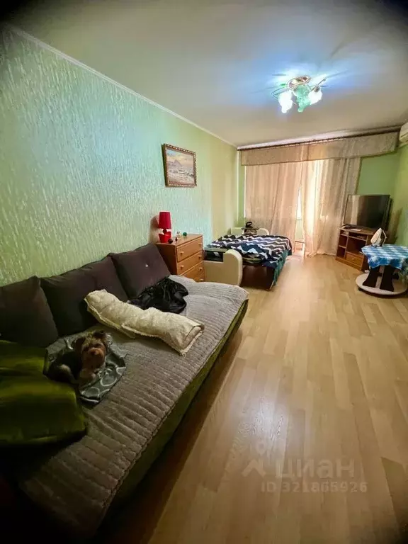 1-к кв. Крым, Феодосия муниципальный округ, с. Береговое ул. 40 лет ... - Фото 0