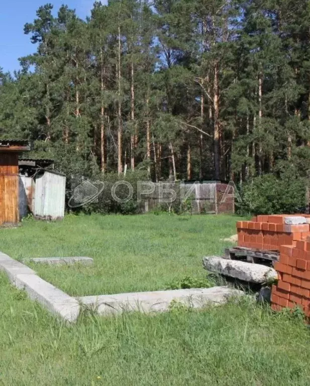 Участок в Тюменская область, Тюменский муниципальный округ, Ясная ... - Фото 2