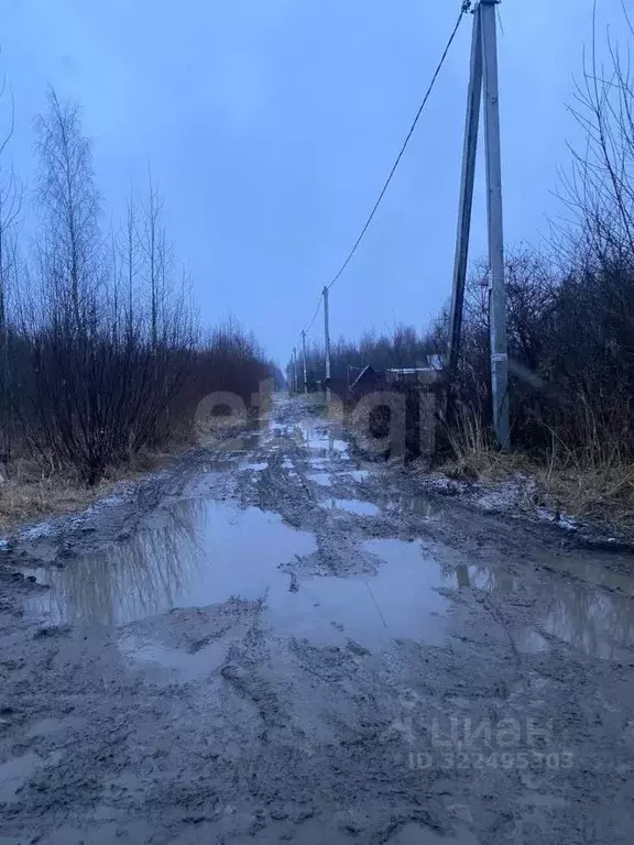Участок в Вологодская область, Вологда Медик садоводческое ... - Фото 1