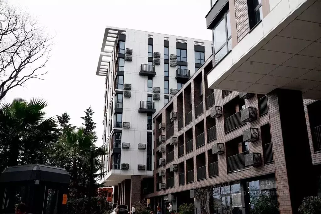 Помещение свободного назначения в Краснодарский край, Сочи Курортный ... - Фото 1