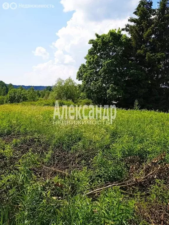 Участок в Республика Карелия, Лахденпохский муниципальный округ, ... - Фото 2