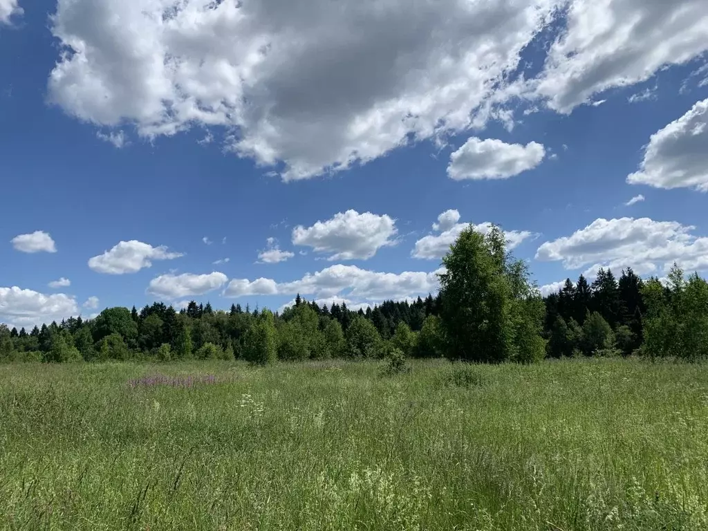 Участок в Московская область, Сергиево-Посадский городской округ, д. ... - Фото 1