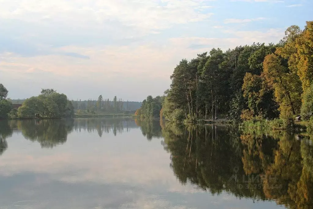 Участок в Тульская область, Тула городской округ, д. Ивановка  (14.0 ... - Фото 1