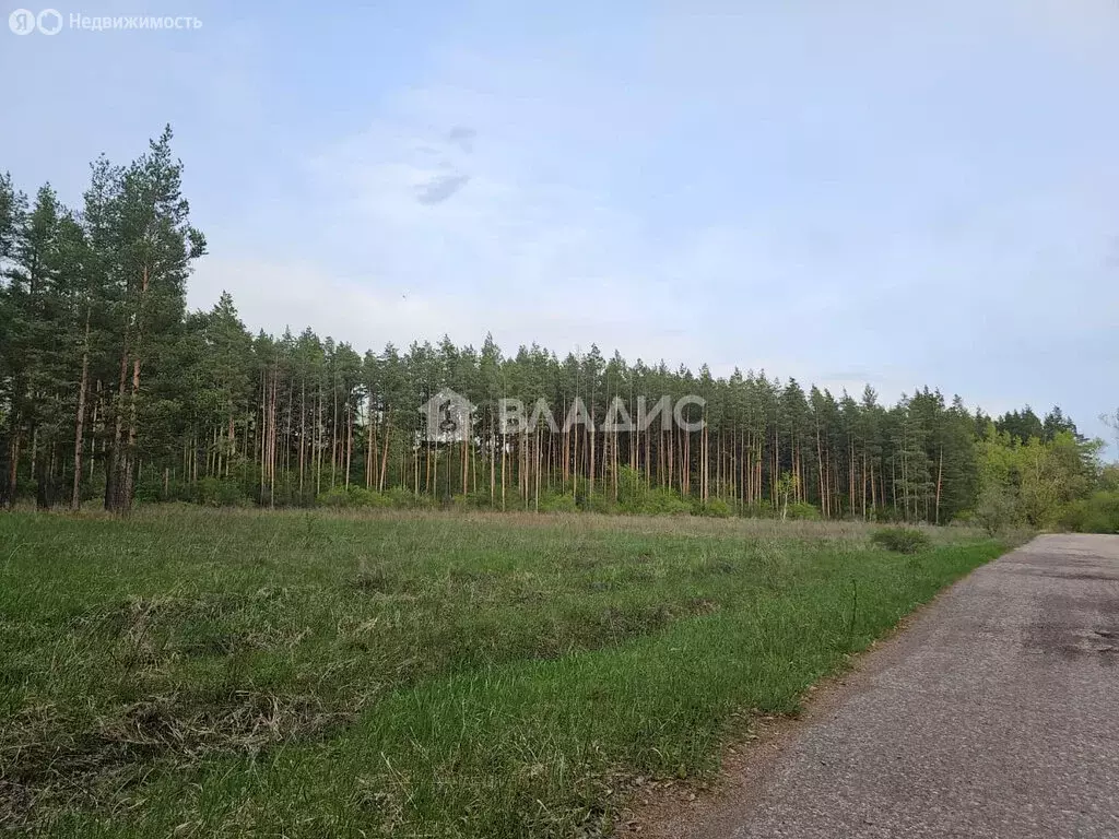 Дом в Наумовский сельсовет, СНТ Нива (40 м) - Фото 1