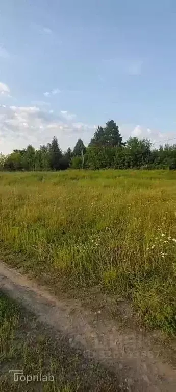 Участок в Алтайский край, Алтайский район, Айский сельсовет, с. Ая ул. ... - Фото 2