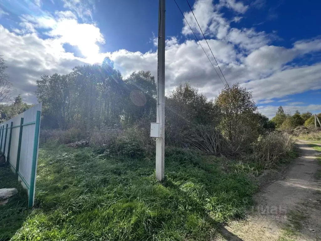 Участок в Псковская область, Псковский район, Завеличенская волость, ... - Фото 2