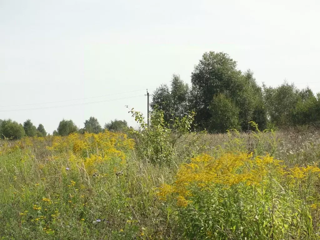 Участок в Тульская область, Тула городской округ, д. Ефимово  (15.0 ... - Фото 1