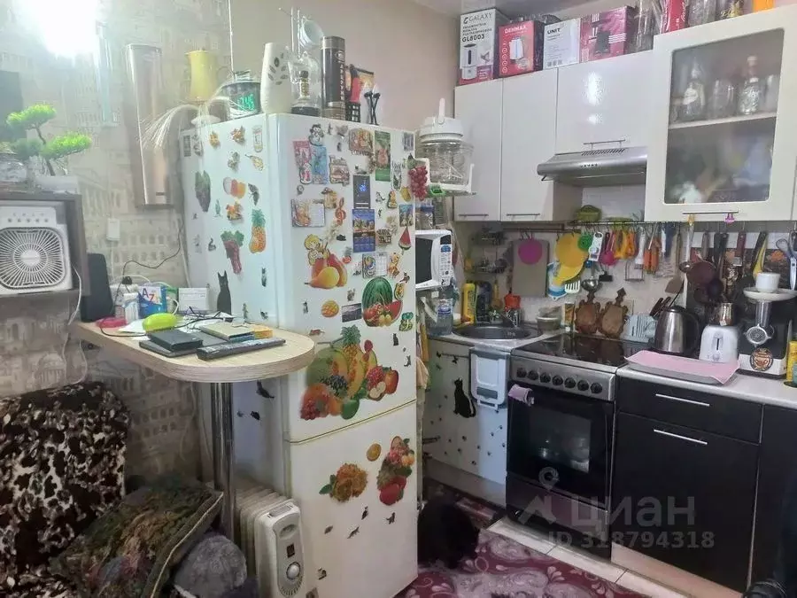 Студия Новосибирская область, Новосибирск ул. Виктора Уса, 15 (19.7 м) - Фото 0