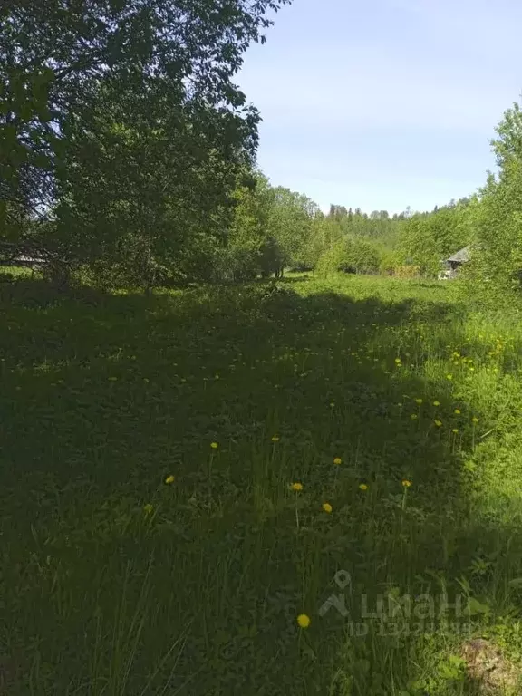 участок в новгородская область, маловишерский район, веребьинское . - Фото 1