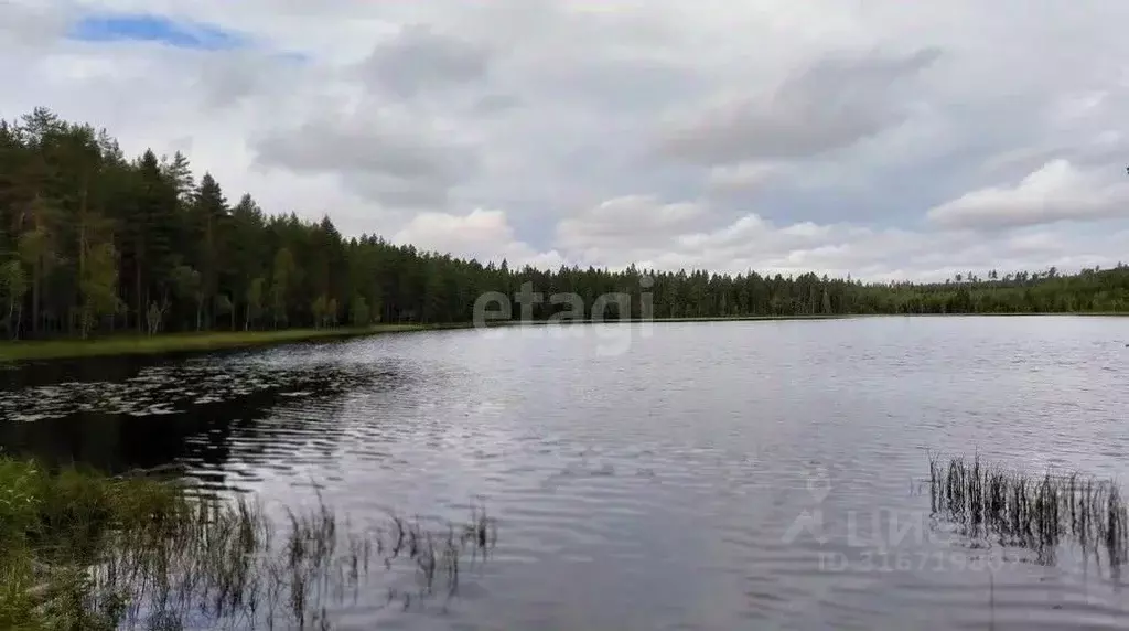 Дом в Владимирская область, Меленковский муниципальный округ, д. Усад ... - Фото 0