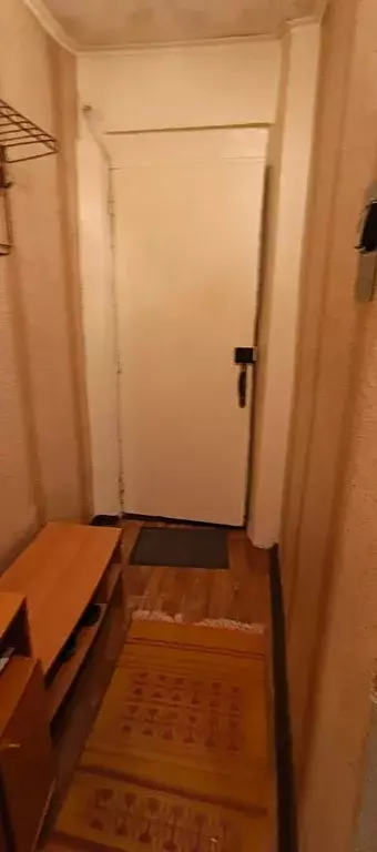 Продаётся 1-к квартира, 29.7 м - Фото 1
