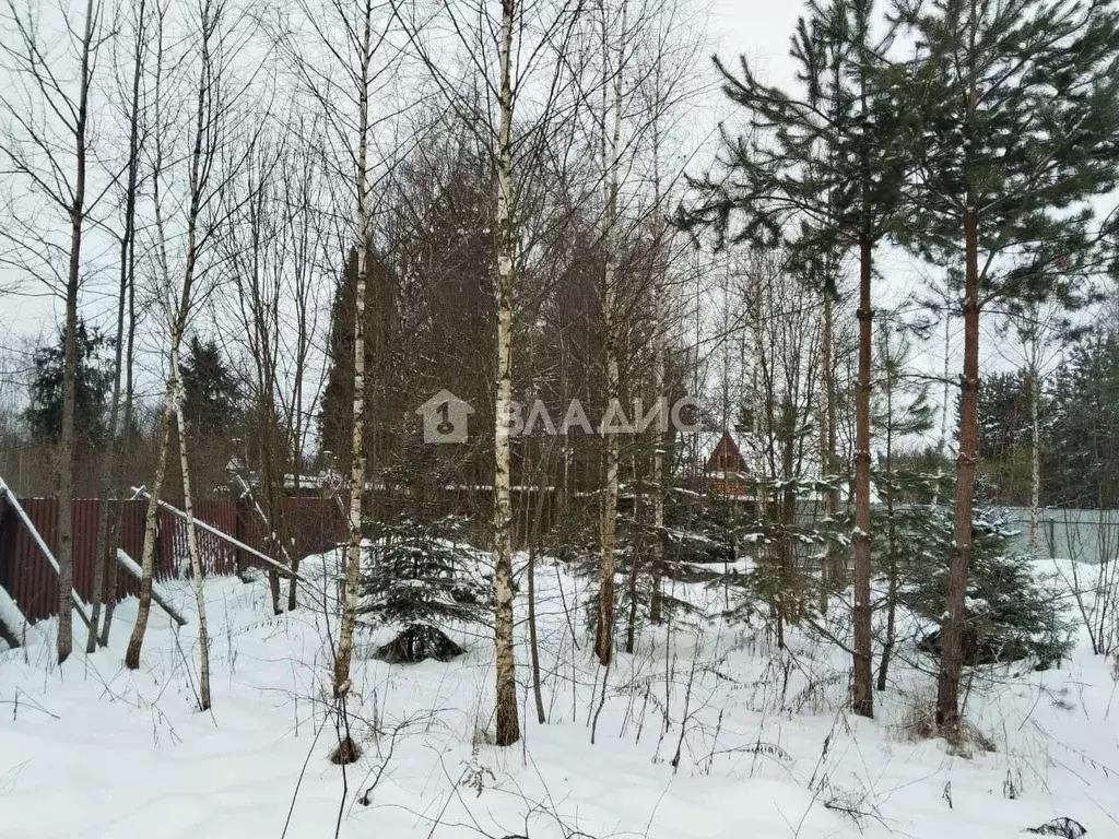 Участок в Москва пос. Красные горки, ул. Вишневый Сад (4.0 сот.) - Фото 0