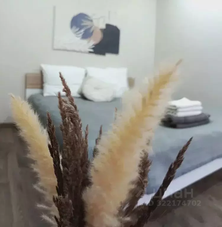 Студия Калининградская область, Калининград Ленинский просп., 20 (30.0 ... - Фото 1