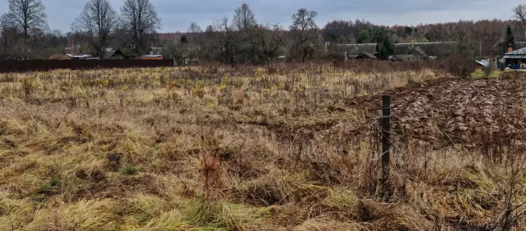 Участок в Московская область, Ступино городской округ, д. Толбино ул. ... - Фото 0