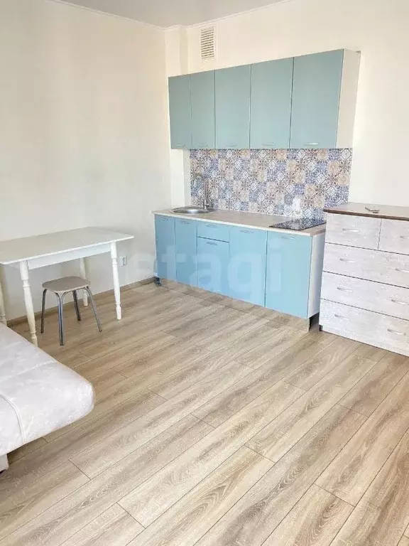 Студия Тюменская область, Тюмень ул. Николая Никитина, 4 (28.0 м) - Фото 2