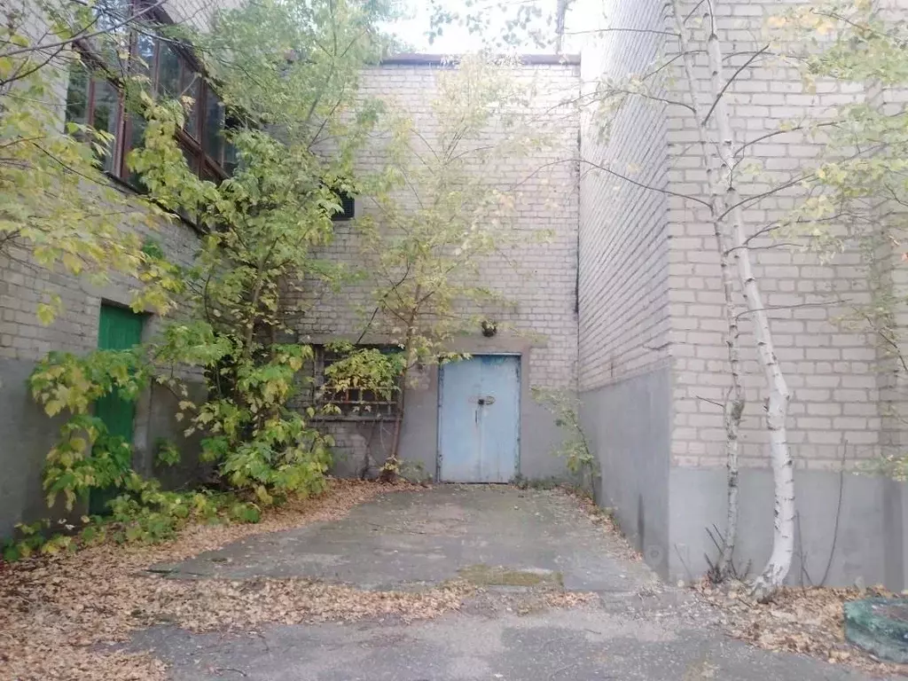 Помещение свободного назначения в Воронежская область, Воронеж ул. ... - Фото 2