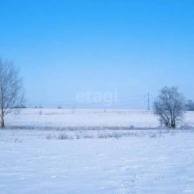 Участок в Владимирская область, Ковровский муниципальный округ, ... - Фото 2