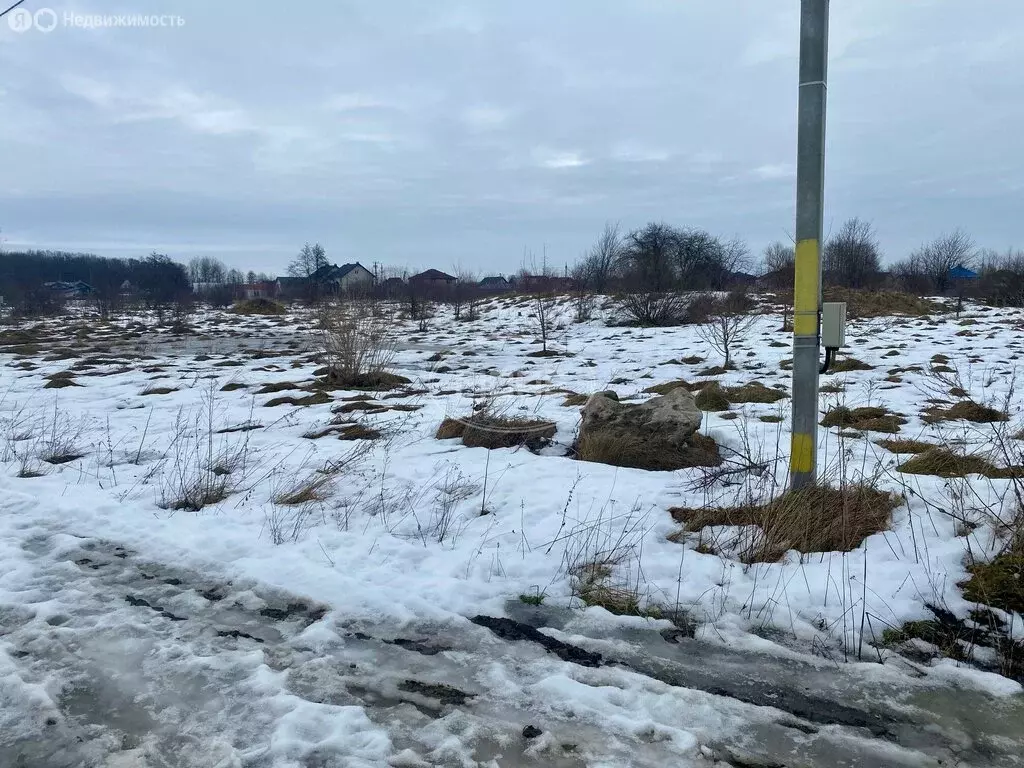 Участок в Калининградская область, Гурьевский муниципальный округ, ... - Фото 1