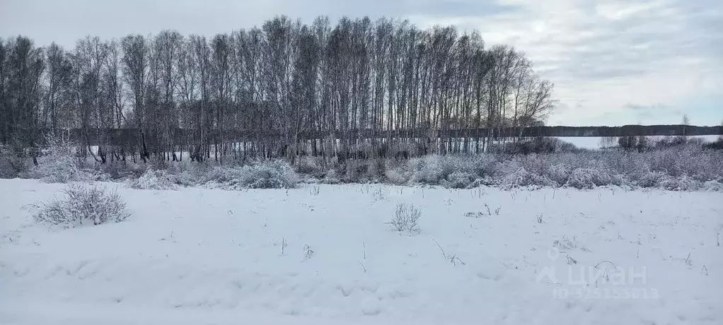 Участок в Новосибирская область, Мошковский район, с. Томилово  (99.98 ... - Фото 1