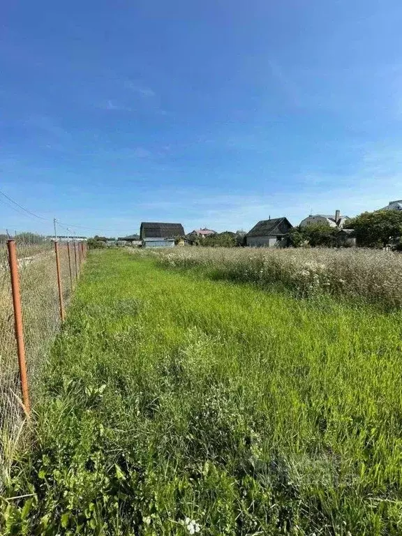 Участок в Новгородская область, Новгородский район, Савинское с/пос, ... - Фото 1