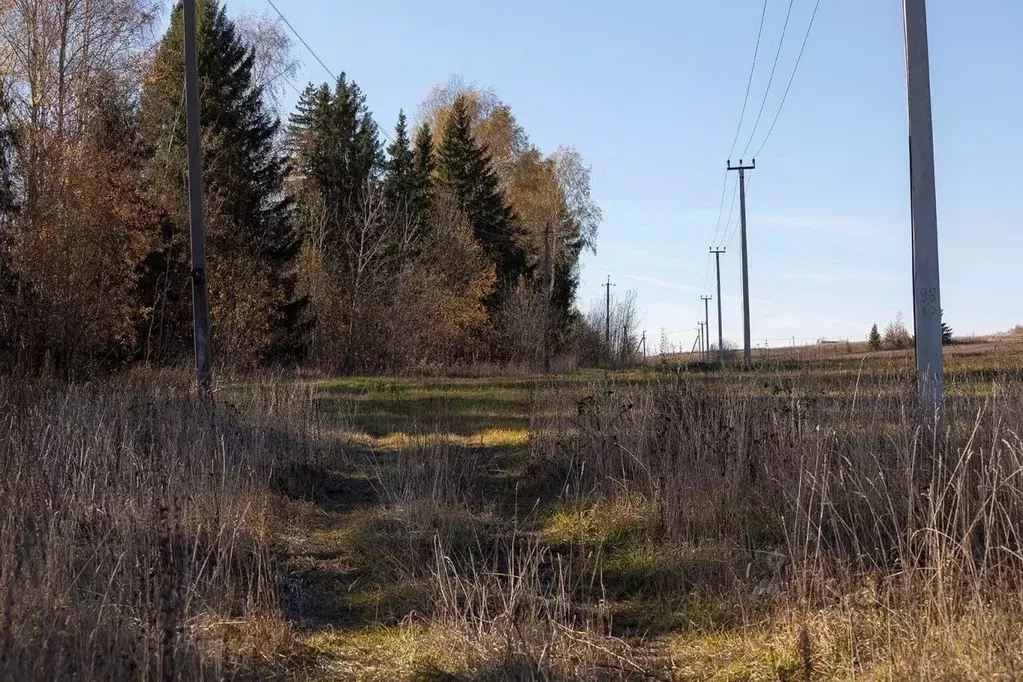 Участок в Кировская область, Слободской район, Ленинское с/пос, д. ... - Фото 1
