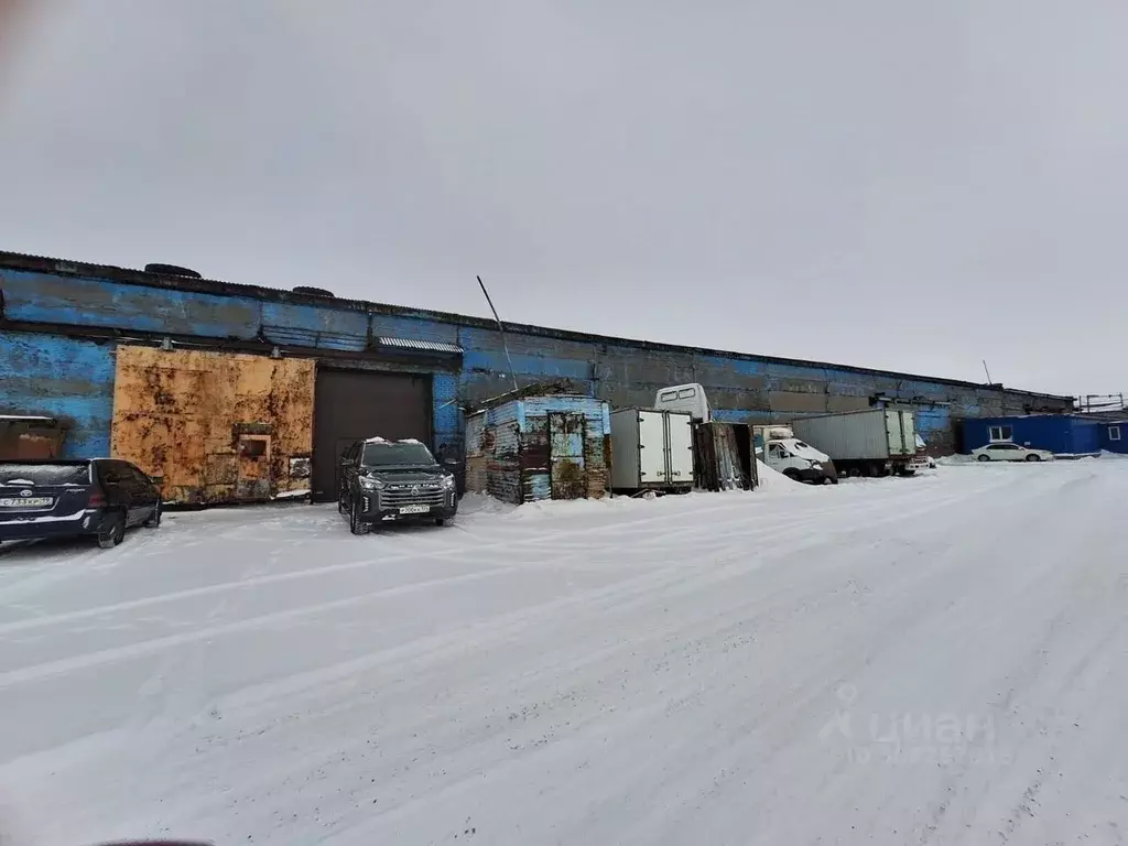 Помещение свободного назначения в Красноярский край, Норильск ... - Фото 0