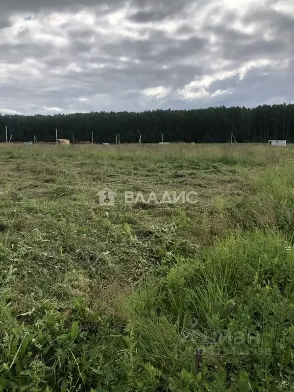 Участок в Владимирская область, Собинский муниципальный округ, с. ... - Фото 2