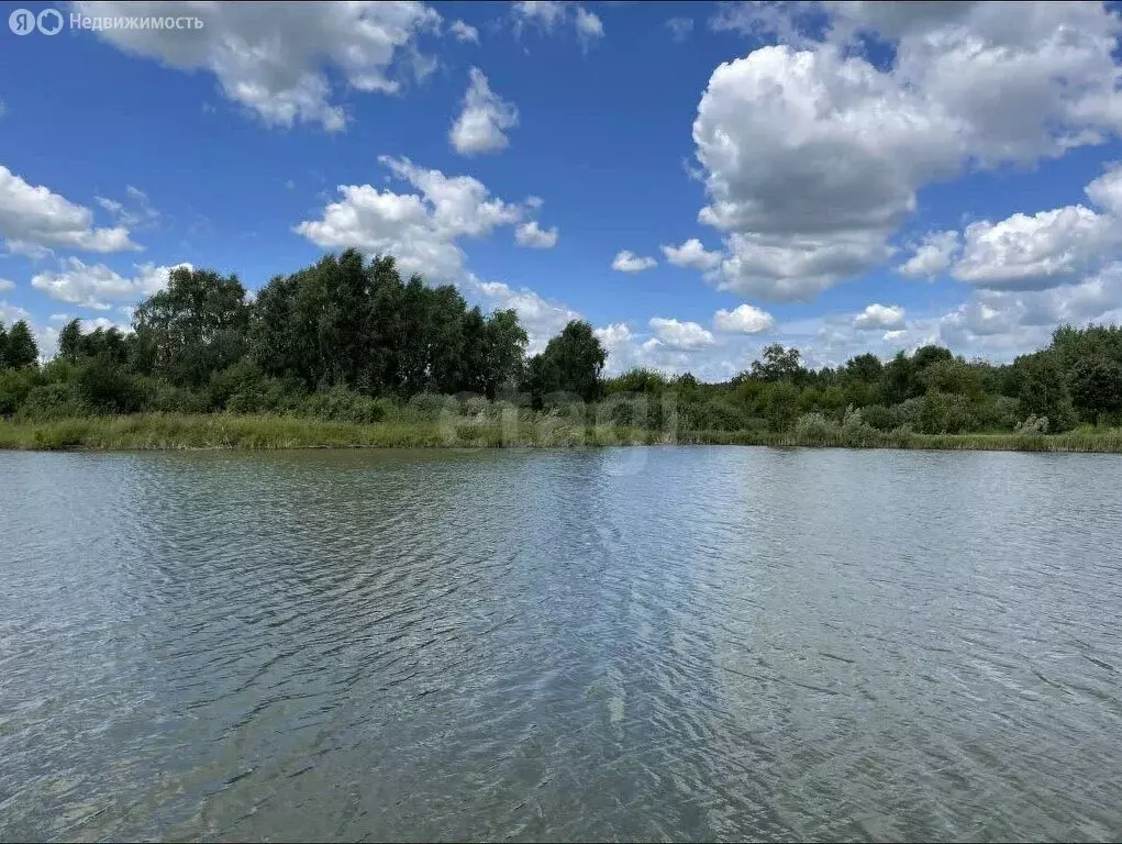 Участок в Марусино, посёлок Соловьи, улица Филонова (7 м) - Фото 0
