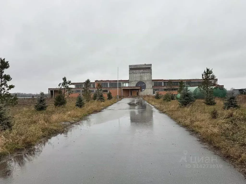 Помещение свободного назначения в Самарская область, Кинельский район, ... - Фото 2