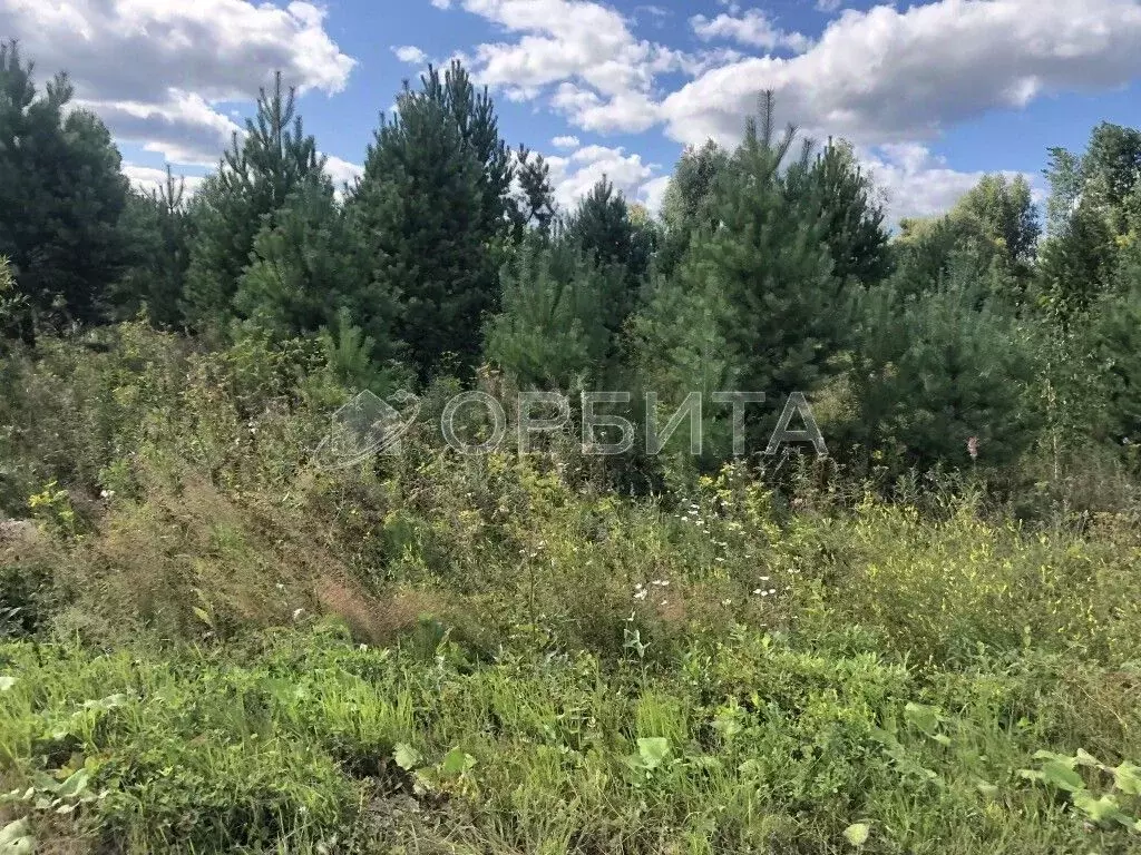 Участок в Тюменская область, с. Нижняя Тавда  (15.0 сот.) - Фото 1