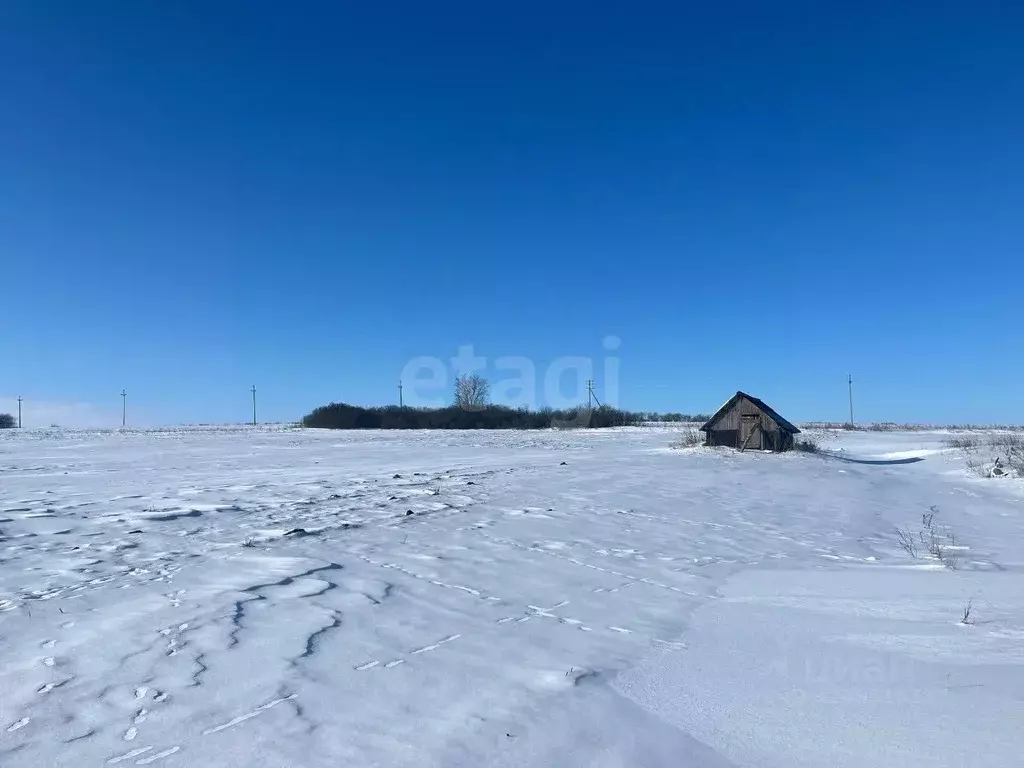 Участок в Белгородская область, Прохоровский район, с. Коломыцево  ... - Фото 1