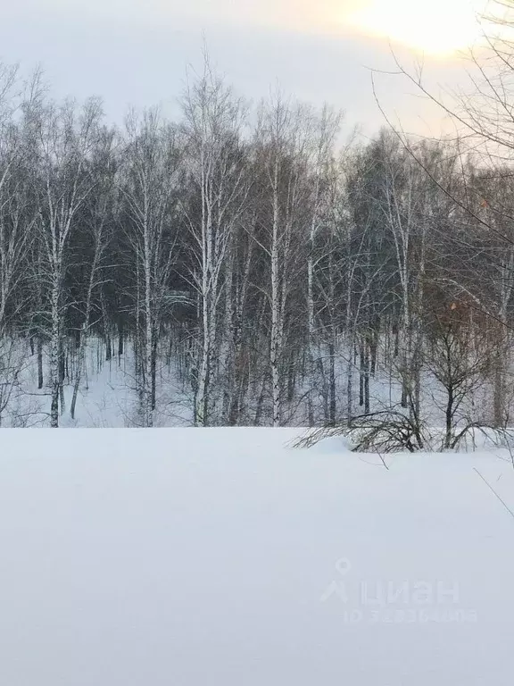 Участок в Новосибирская область, Новосибирский район, Барышевский ... - Фото 1