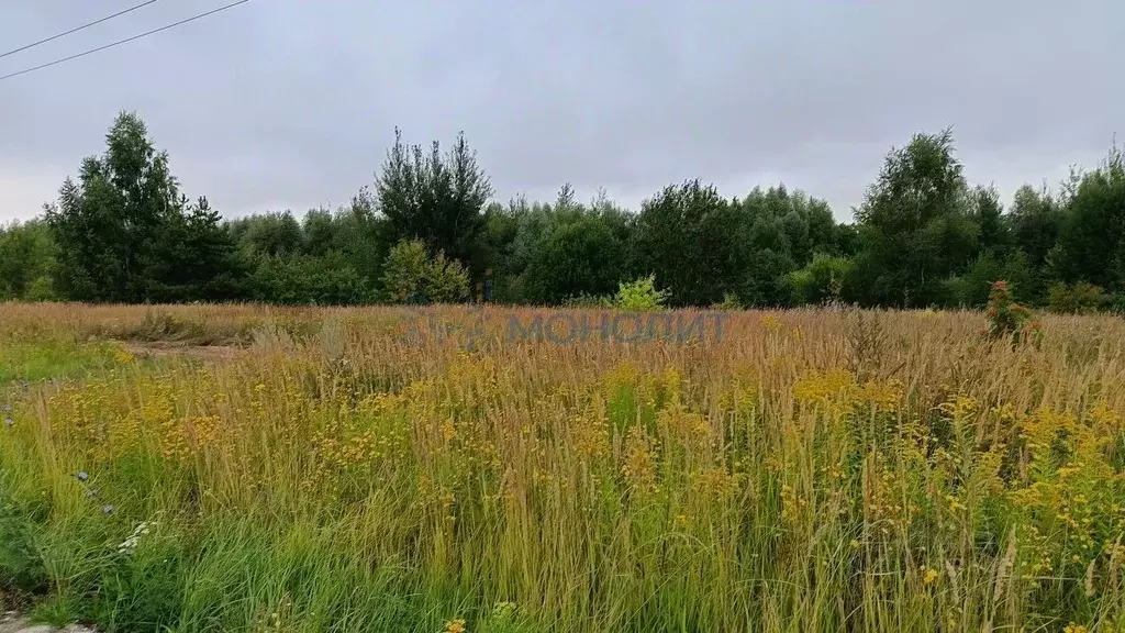 Участок в Нижегородская область, Богородский муниципальный округ, д. ... - Фото 1