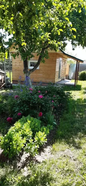 Дом в Чувашия, Моргаушский муниципальный округ, Васильевка высел., ... - Фото 2