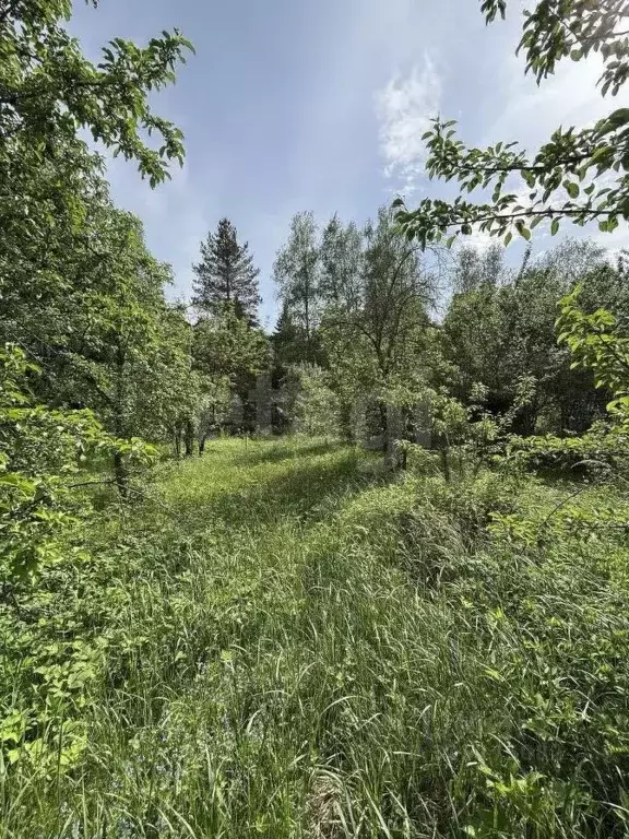 Дом в Московская область, Раменское ул. 2-я Лесная, 27 (70 м) - Фото 2