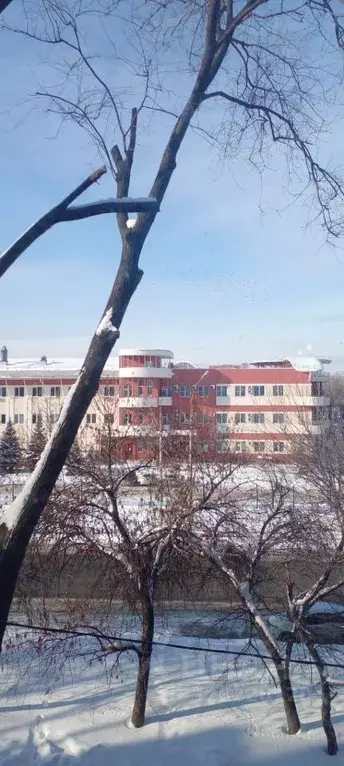 1-к кв. Самарская область, Самара Физкультурная ул., 121 (31.0 м) - Фото 1