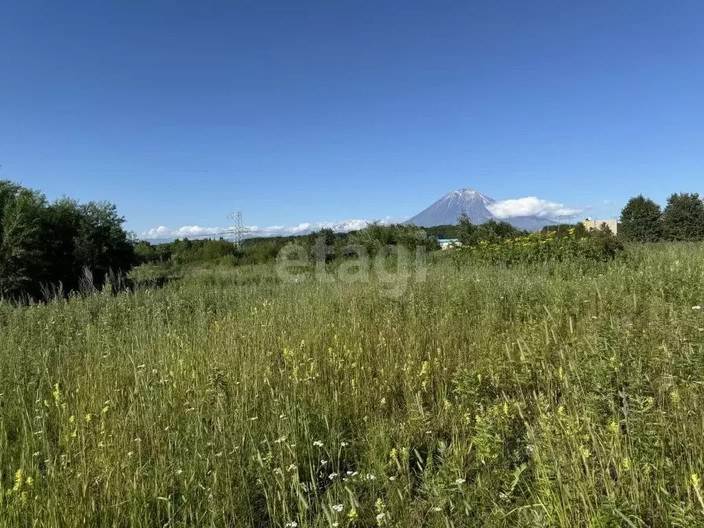 Участок в Камчатский край, Елизовский муниципальный округ, пос. ... - Фото 1
