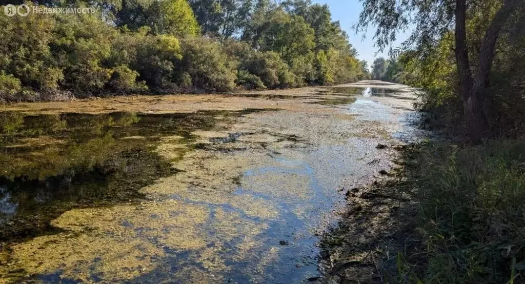 Участок в Старочеркасское сельское поселение, хутор Краснодворск, ... - Фото 1