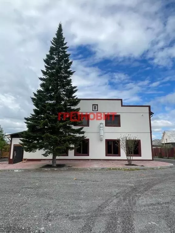 Помещение свободного назначения в Новосибирская область, Новосибирск ... - Фото 1