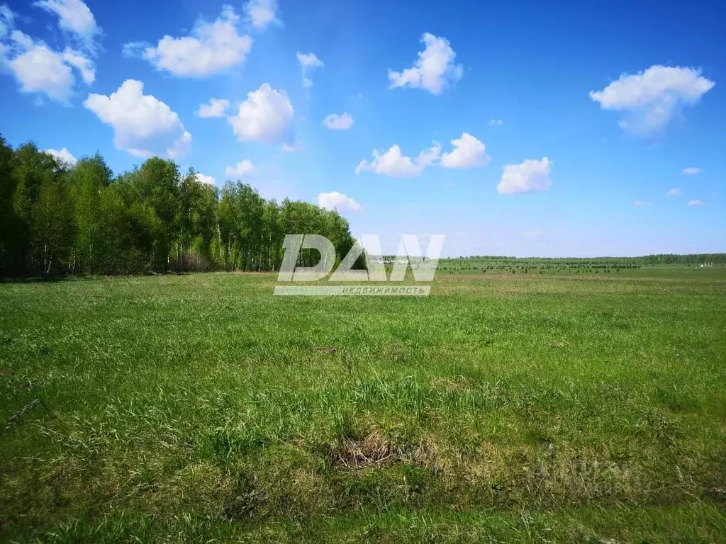 Участок в Челябинская область, Красноармейский муниципальный округ, ... - Фото 2