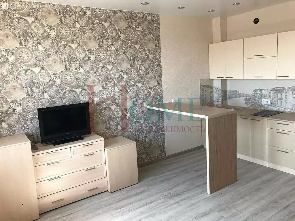 Квартира-студия: Новосибирск, улица Фрунзе, 49 (32 м) - Фото 1