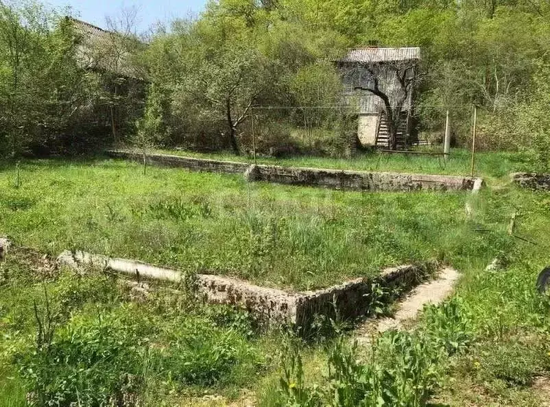 Участок в Краснодарский край, Геленджик городской округ, с. ... - Фото 1